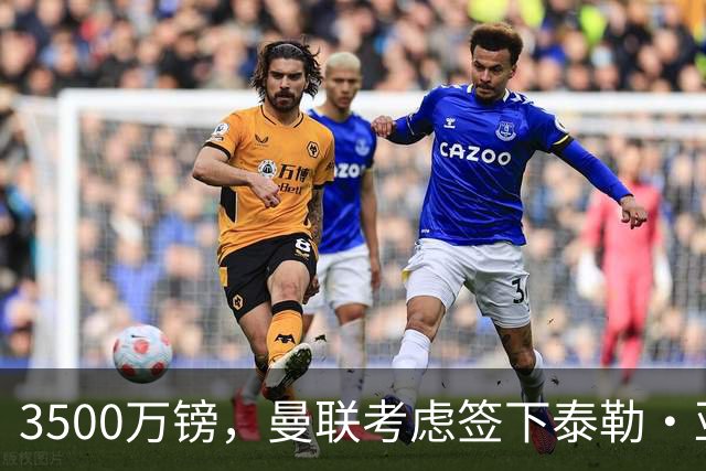 3500万镑，曼联考虑签下泰勒·亚当斯，中场重建第三笔